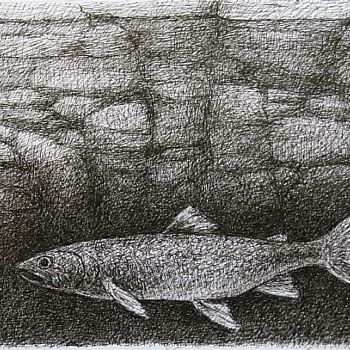 ink on paper 9x12''
one of the illustrations for the Isle Royale book, Naked in the Stream.

private collection